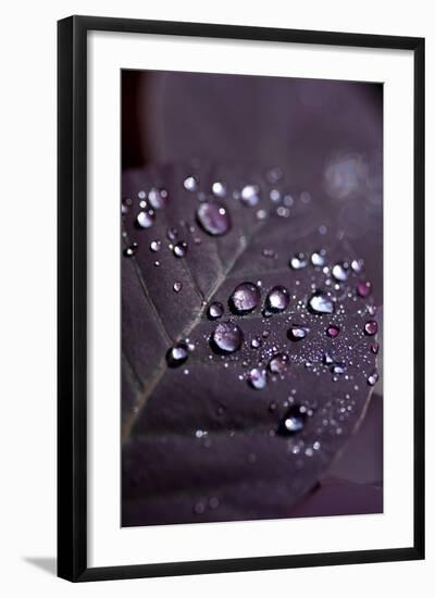 Purple Leaves II-K.B. White-Framed Photographic Print