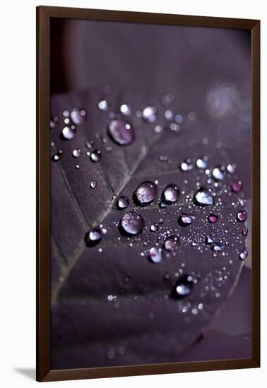 Purple Leaves II-K.B. White-Framed Photographic Print