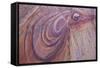 Purple Loops in Sandstone, Coyote Buttes Wilderness, Vermilion Cliffs National Monument-James Hager-Framed Stretched Canvas