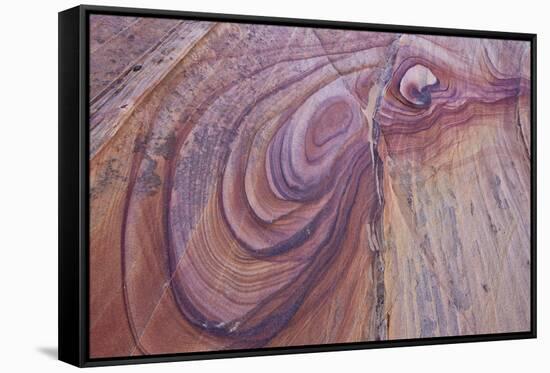 Purple Loops in Sandstone, Coyote Buttes Wilderness, Vermilion Cliffs National Monument-James Hager-Framed Stretched Canvas