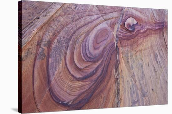 Purple Loops in Sandstone, Coyote Buttes Wilderness, Vermilion Cliffs National Monument-James Hager-Stretched Canvas