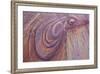 Purple Loops in Sandstone, Coyote Buttes Wilderness, Vermilion Cliffs National Monument-James Hager-Framed Photographic Print