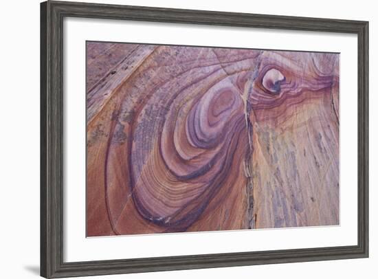 Purple Loops in Sandstone, Coyote Buttes Wilderness, Vermilion Cliffs National Monument-James Hager-Framed Photographic Print