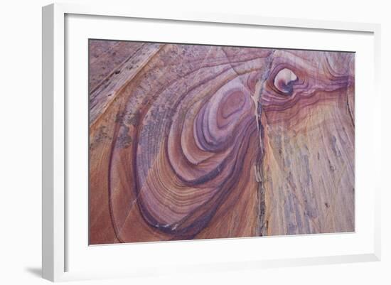 Purple Loops in Sandstone, Coyote Buttes Wilderness, Vermilion Cliffs National Monument-James Hager-Framed Photographic Print