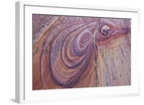 Purple Loops in Sandstone, Coyote Buttes Wilderness, Vermilion Cliffs National Monument-James Hager-Framed Photographic Print