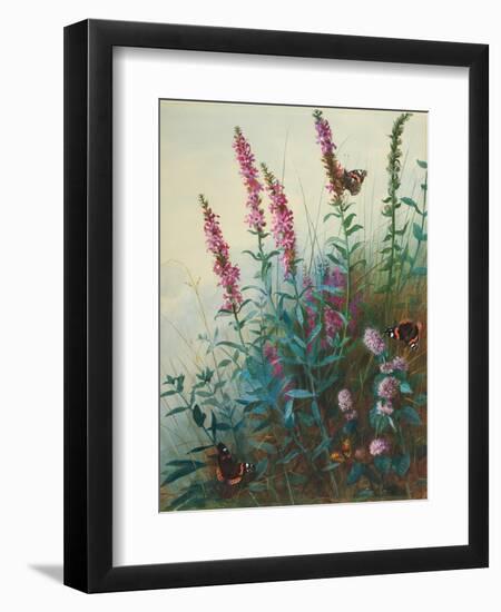 Purple Loosestrife and Watermint, C.1910-20-Archibald Thorburn-Framed Giclee Print