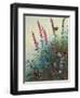 Purple Loosestrife and Watermint, C.1910-20-Archibald Thorburn-Framed Giclee Print