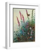 Purple Loosestrife and Watermint, C.1910-20-Archibald Thorburn-Framed Giclee Print