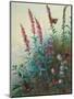 Purple Loosestrife and Watermint, C.1910-20-Archibald Thorburn-Mounted Giclee Print