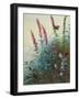 Purple Loosestrife and Watermint, C.1910-20-Archibald Thorburn-Framed Giclee Print