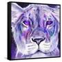 Purple Majestic Lion-Sheena Pike Art And Illustration-Framed Stretched Canvas