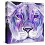 Purple Majestic Lion-Sheena Pike Art And Illustration-Stretched Canvas