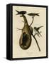 Purple Martin-null-Framed Stretched Canvas