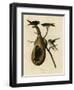 Purple Martin-null-Framed Giclee Print