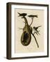 Purple Martin-null-Framed Giclee Print