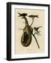 Purple Martin-null-Framed Giclee Print