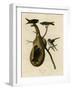 Purple Martin-null-Framed Giclee Print