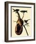 Purple Martins-John James Audubon-Framed Giclee Print