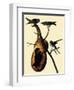 Purple Martins-John James Audubon-Framed Giclee Print