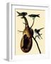 Purple Martins-John James Audubon-Framed Giclee Print