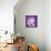 Purple Money-Herb Dickinson-Photographic Print displayed on a wall