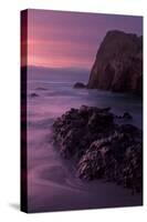 Purple Mood and Mist Sunset-Vincent James-Stretched Canvas