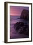 Purple Mood and Mist Sunset-Vincent James-Framed Photographic Print