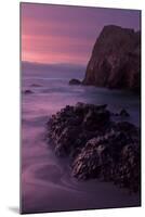 Purple Mood and Mist Sunset-Vincent James-Mounted Photographic Print