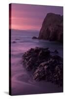 Purple Mood and Mist Sunset-Vincent James-Stretched Canvas