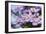 Purple Moods-Incredi-Framed Giclee Print