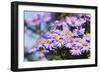 Purple Moods-Incredi-Framed Giclee Print