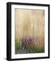 Purple Moor Grass (Molinia Caerulea)-Adrian Bicker-Framed Photographic Print