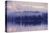 Purple Morning Mist-Vincent James-Stretched Canvas