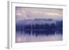 Purple Morning Mist-Vincent James-Framed Photographic Print