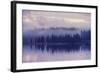 Purple Morning Mist-Vincent James-Framed Photographic Print