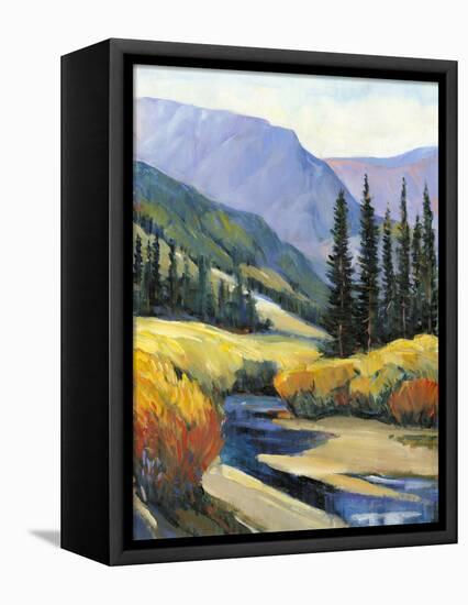 Purple Mountain Majesty I-Tim O'toole-Framed Stretched Canvas