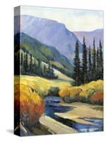 Purple Mountain Majesty I-Tim O'toole-Stretched Canvas