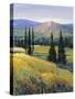 Purple Mountain Majesty II-Tim O'toole-Stretched Canvas