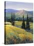 Purple Mountain Majesty II-Tim O'toole-Stretched Canvas