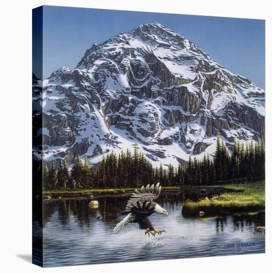 Purple Mountain Majesty-John Van Straalen-Stretched Canvas