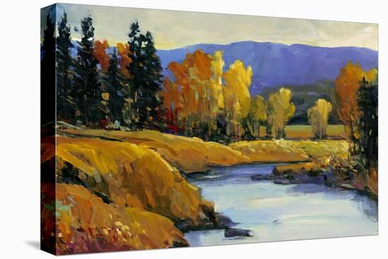 Purple Mountain View II-Tim O'toole-Stretched Canvas