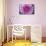 Purple Mum II-Erin Berzel-Mounted Photographic Print displayed on a wall