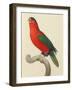 Purple-Naped Lory-Jacques Barraband-Framed Giclee Print