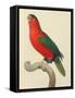 Purple-Naped Lory-Jacques Barraband-Framed Stretched Canvas