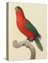 Purple-Naped Lory-Jacques Barraband-Stretched Canvas