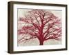 Purple Oak-Alessio Aprile-Framed Giclee Print