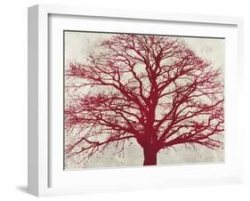 Purple Oak-Alessio Aprile-Framed Giclee Print