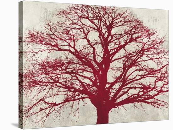 Purple Oak-Alessio Aprile-Stretched Canvas