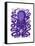 Purple Octopus-Fab Funky-Framed Stretched Canvas