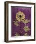 Purple Opus Chrysanthemum-Albert Koetsier-Framed Art Print